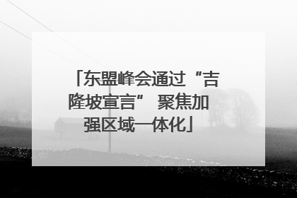 东盟峰会通过“吉隆坡宣言” 聚焦加强区域一体化
