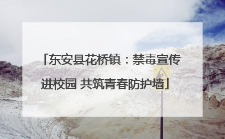 东安县花桥镇：禁毒宣传进校园 共筑青春防护墙
