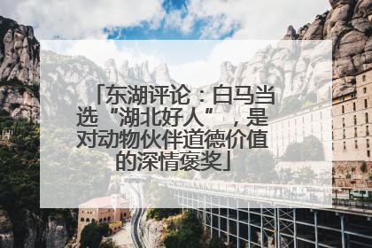 东湖评论：白马当选“湖北好人”，是对动物伙伴道德价值的深情褒奖