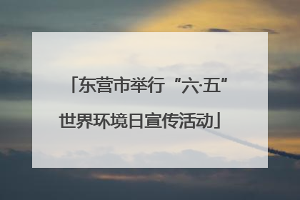 东营市举行“六·五”世界环境日宣传活动