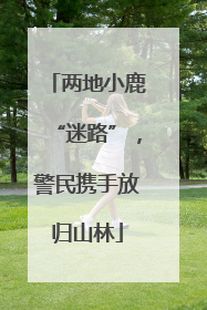 两地小鹿“迷路”，警民携手放归山林