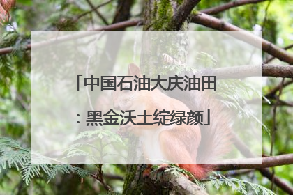 中国石油大庆油田：黑金沃土绽绿颜