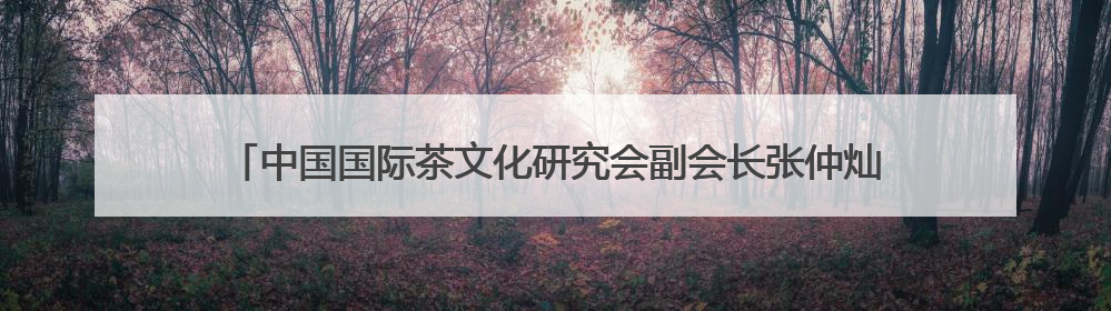 中国国际茶文化研究会副会长张仲灿一行调研“十二月令·非遗茶空间”