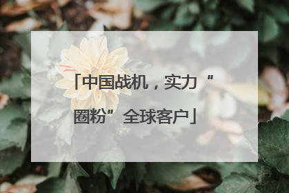 中国战机，实力“圈粉”全球客户