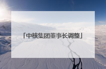 中核集团董事长调整