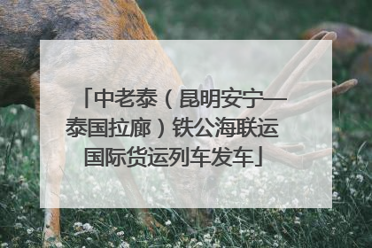 中老泰（昆明安宁—泰国拉廊）铁公海联运国际货运列车发车