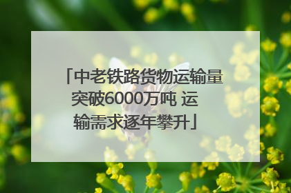 中老铁路货物运输量突破6000万吨 运输需求逐年攀升