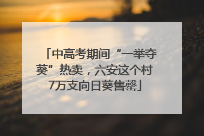 中高考期间“一举夺葵”热卖，六安这个村7万支向日葵售罄