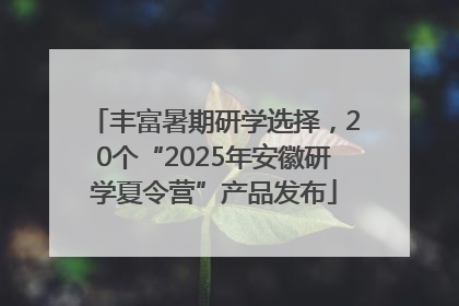 丰富暑期研学选择，20个“2025年安徽研学夏令营”产品发布