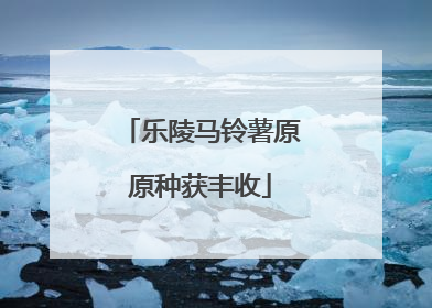 乐陵马铃薯原原种获丰收