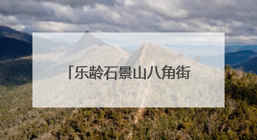 乐龄石景山八角街道景阳东街养老照料中心正式揭牌