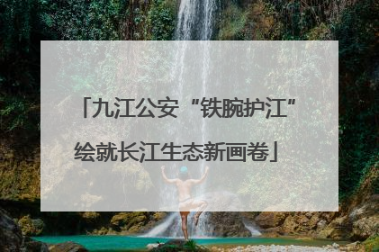 九江公安“铁腕护江”绘就长江生态新画卷