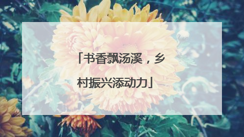 书香飘汤溪，乡村振兴添动力