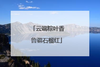云端粽叶香 鲁疆石榴红