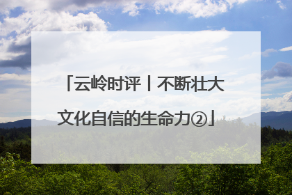云岭时评丨不断壮大文化自信的生命力②