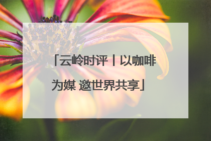 云岭时评丨以咖啡为媒 邀世界共享