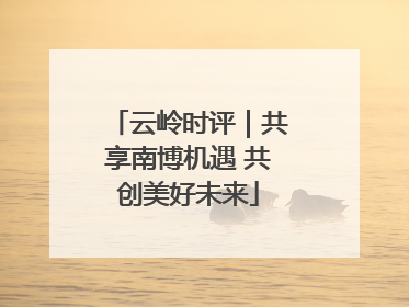 云岭时评｜共享南博机遇 共创美好未来