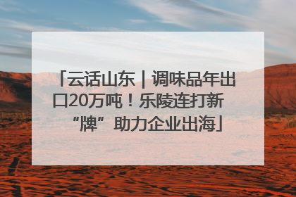 云话山东｜调味品年出口20万吨！乐陵连打新“牌”助力企业出海