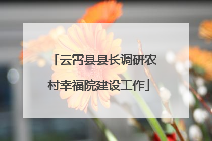 云霄县县长调研农村幸福院建设工作