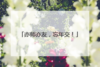 亦师亦友，忘年交！