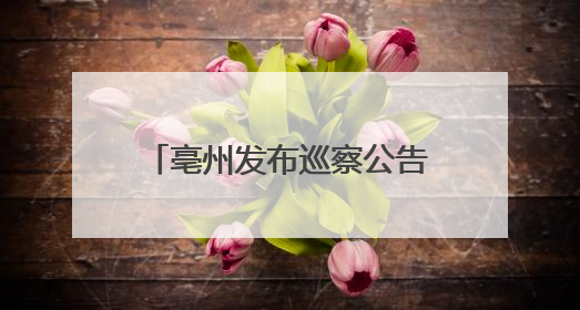 亳州发布巡察公告！涉及群众身边不正之风和腐败问题