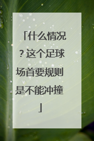 什么情况？这个足球场首要规则是不能冲撞