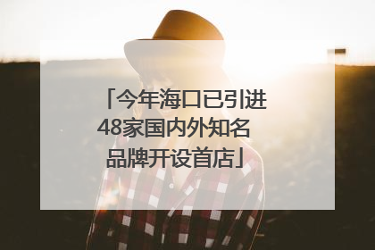 今年海口已引进48家国内外知名品牌开设首店