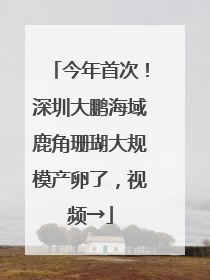 今年首次！深圳大鹏海域鹿角珊瑚大规模产卵了，视频→