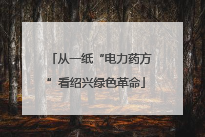 从一纸“电力药方”看绍兴绿色革命