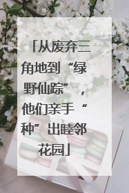 从废弃三角地到“绿野仙踪”，他们亲手“种”出睦邻花园