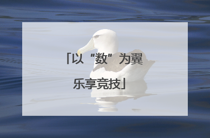以“数”为翼 乐享竞技