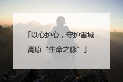 以心护心，守护雪域高原“生命之脉”