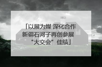 以展为媒 深化合作 新疆石河子再创参展“大交会”佳绩