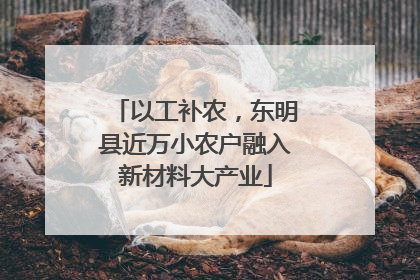 以工补农，东明县近万小农户融入新材料大产业