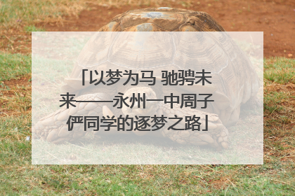 以梦为马 驰骋未来——永州一中周子俨同学的逐梦之路