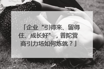 企业“引得来、留得住、成长好”，普陀营商引力场如何炼就？