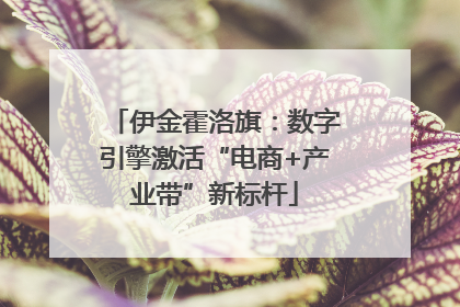 伊金霍洛旗：数字引擎激活“电商+产业带”新标杆