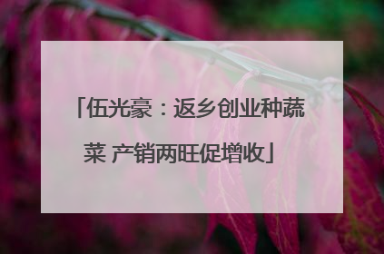 伍光豪：返乡创业种蔬菜 产销两旺促增收