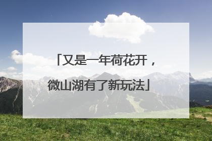 又是一年荷花开，微山湖有了新玩法