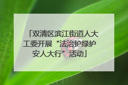 双清区滨江街道人大工委开展“法治护绿护安人大行”活动