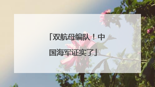 双航母编队！中国海军证实了