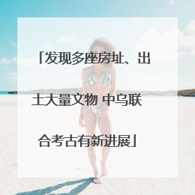 发现多座房址、出土大量文物 中乌联合考古有新进展
