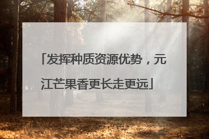 发挥种质资源优势，元江芒果香更长走更远