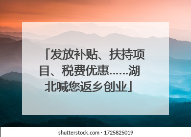 发放补贴、扶持项目、税费优惠……湖北喊您返乡创业