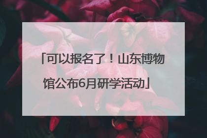 可以报名了！山东博物馆公布6月研学活动