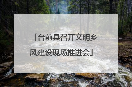台前县召开文明乡风建设现场推进会
