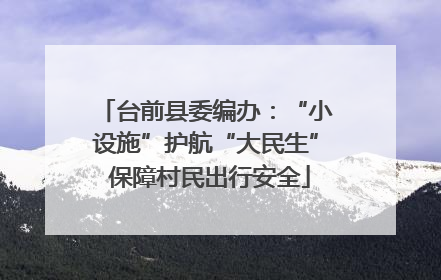 台前县委编办：“小设施”护航“大民生” 保障村民出行安全