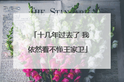 十几年过去了 我依然看不懂王家卫