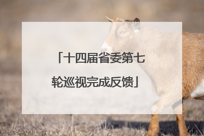 十四届省委第七轮巡视完成反馈