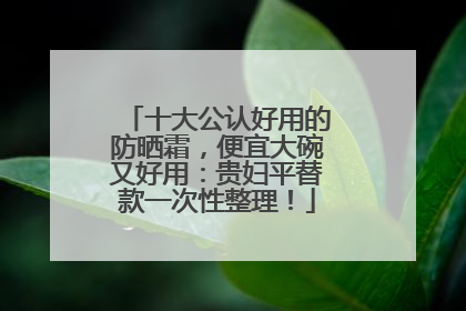 十大公认好用的防晒霜，便宜大碗又好用：贵妇平替款一次性整理！